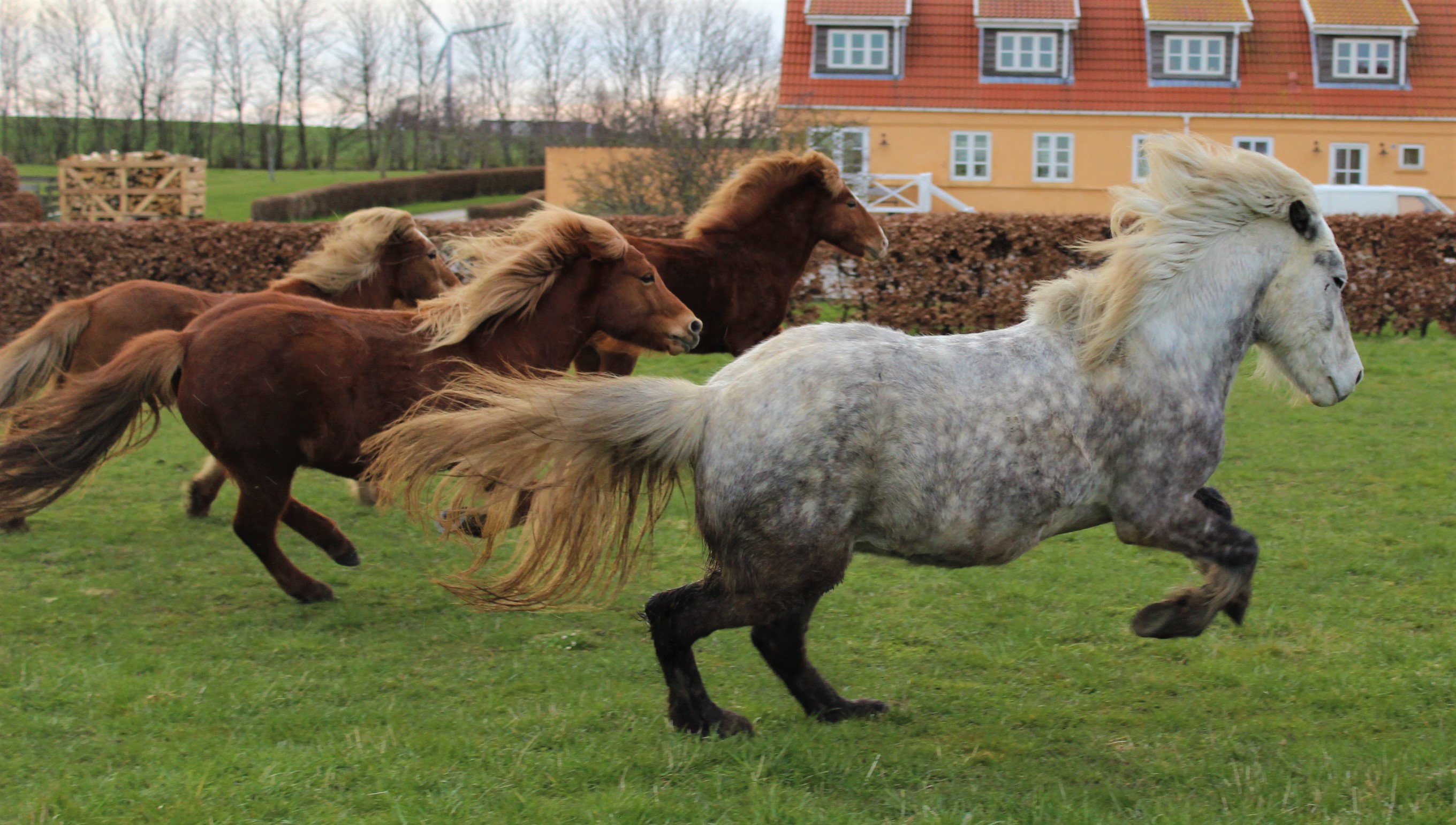 Rideture på Samsø